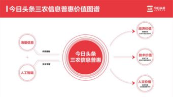 一鍵查詢農(nóng)產(chǎn)品行情 今日頭條以信息技術(shù)咨詢服務(wù)提升三農(nóng)信息服務(wù)效率